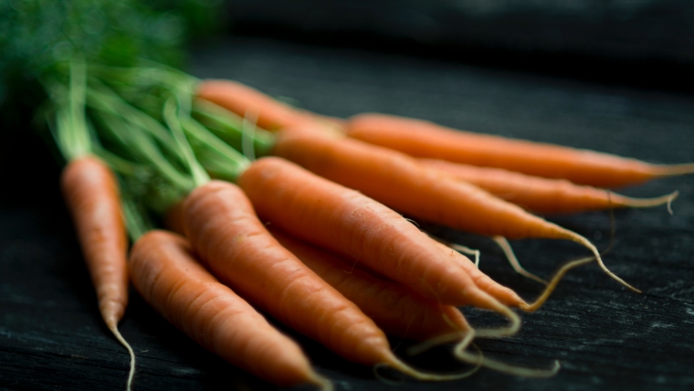 beta carotène dans la carotte